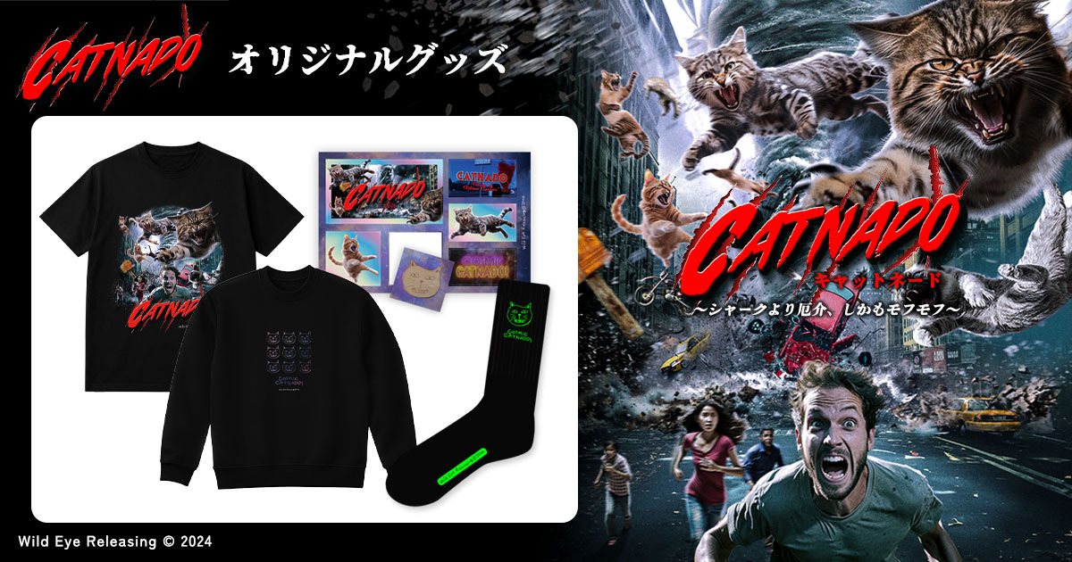 他の企画もチェック